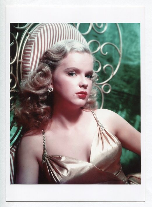 ヤフオク フォト5x7 アン フランシス Anne Francis ヤフオク フォト5x7 アン フランシス Anne Francis