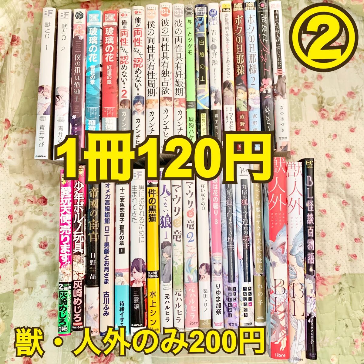 BL漫画 まとめ売り 18冊セット② バラ売りご相談下さい！ - 女性漫画