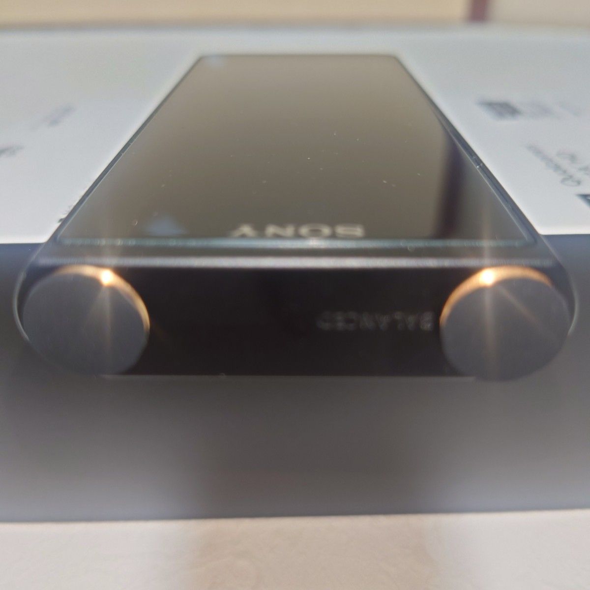 WALKMAN ZXシリーズ NW-ZX500シリーズ NW-ZX507(B) ブラック ケース