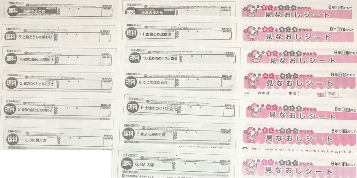 最新版　小学校　6年 理科　カラーテスト　てびきシート