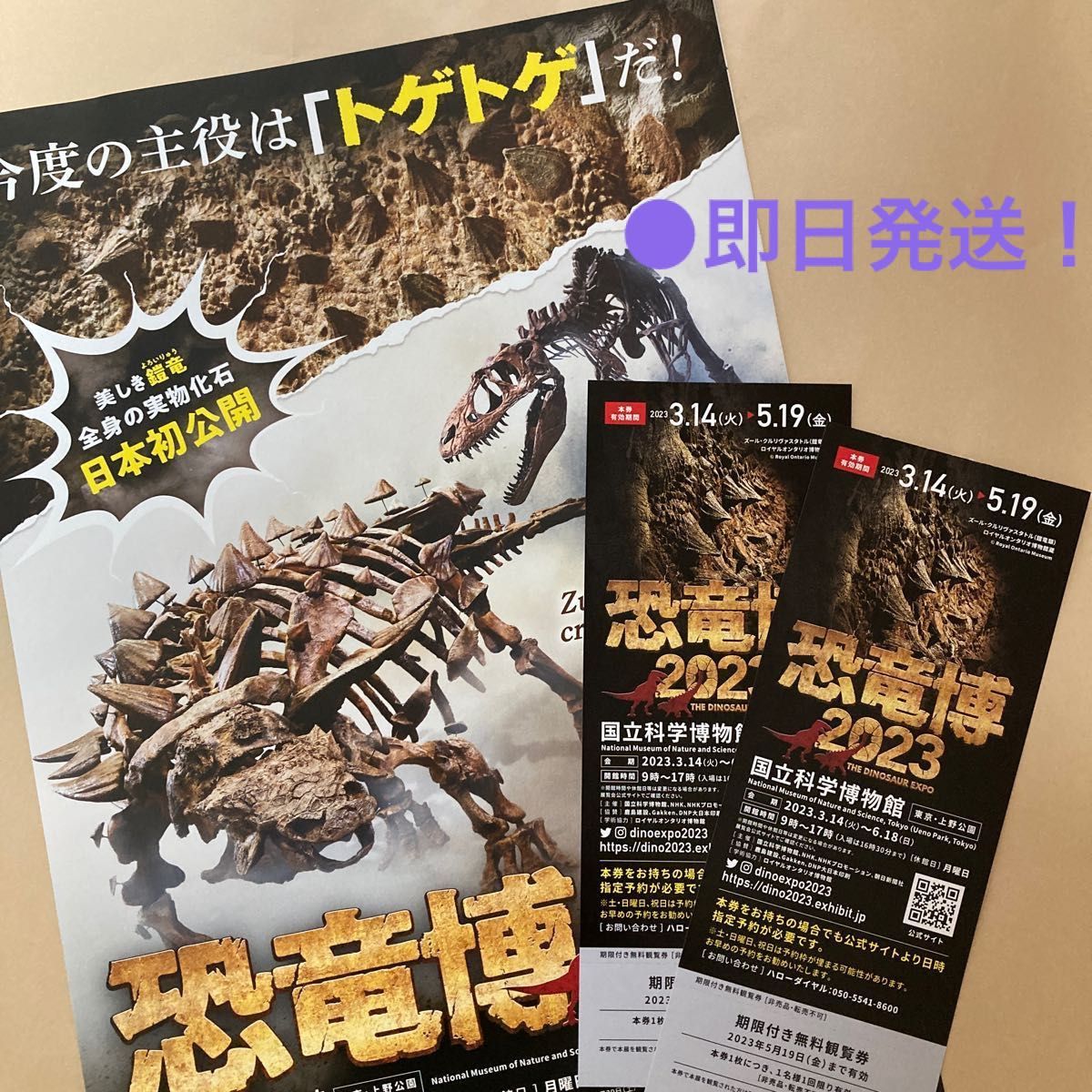 恐竜博 2023』チケット２枚セット 期限付き 2023 19迄 上野・国立科学博物館｜PayPayフリマ