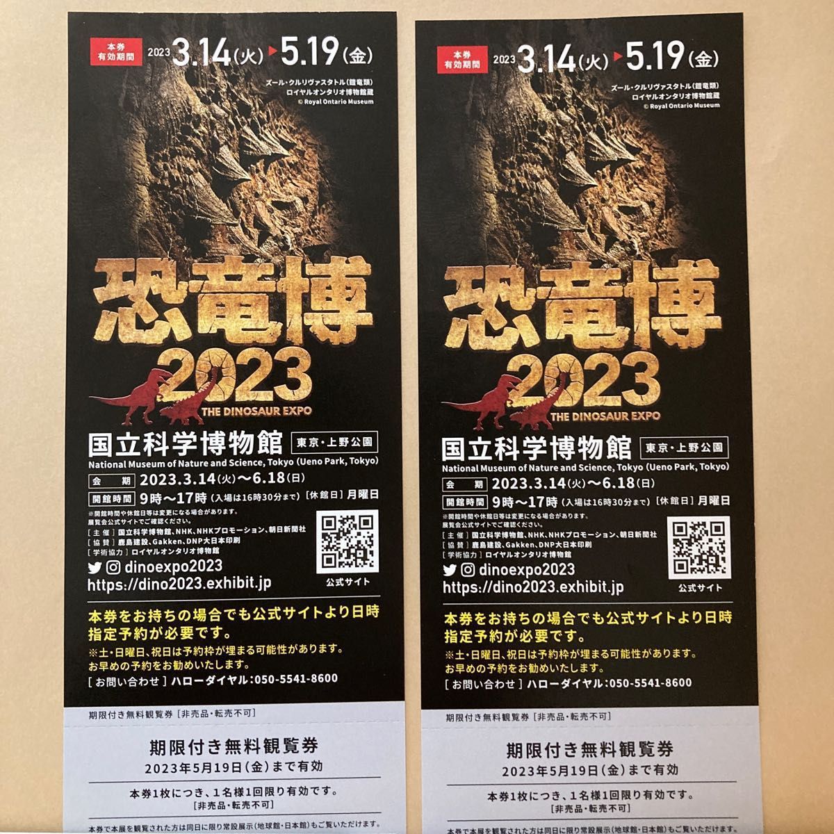 恐竜博 2023』チケット２枚セット 期限付き 2023 5 19迄 上野・国立