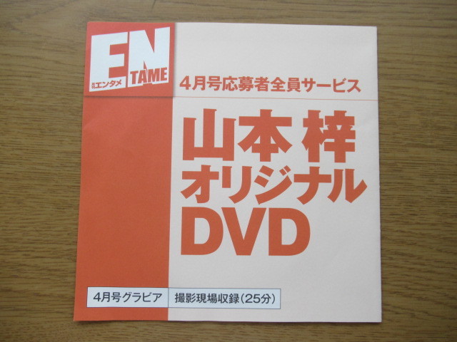 DVD 山本梓 グラビア 月刊エンタメ 応募者全員サービス | www.annugeo.com