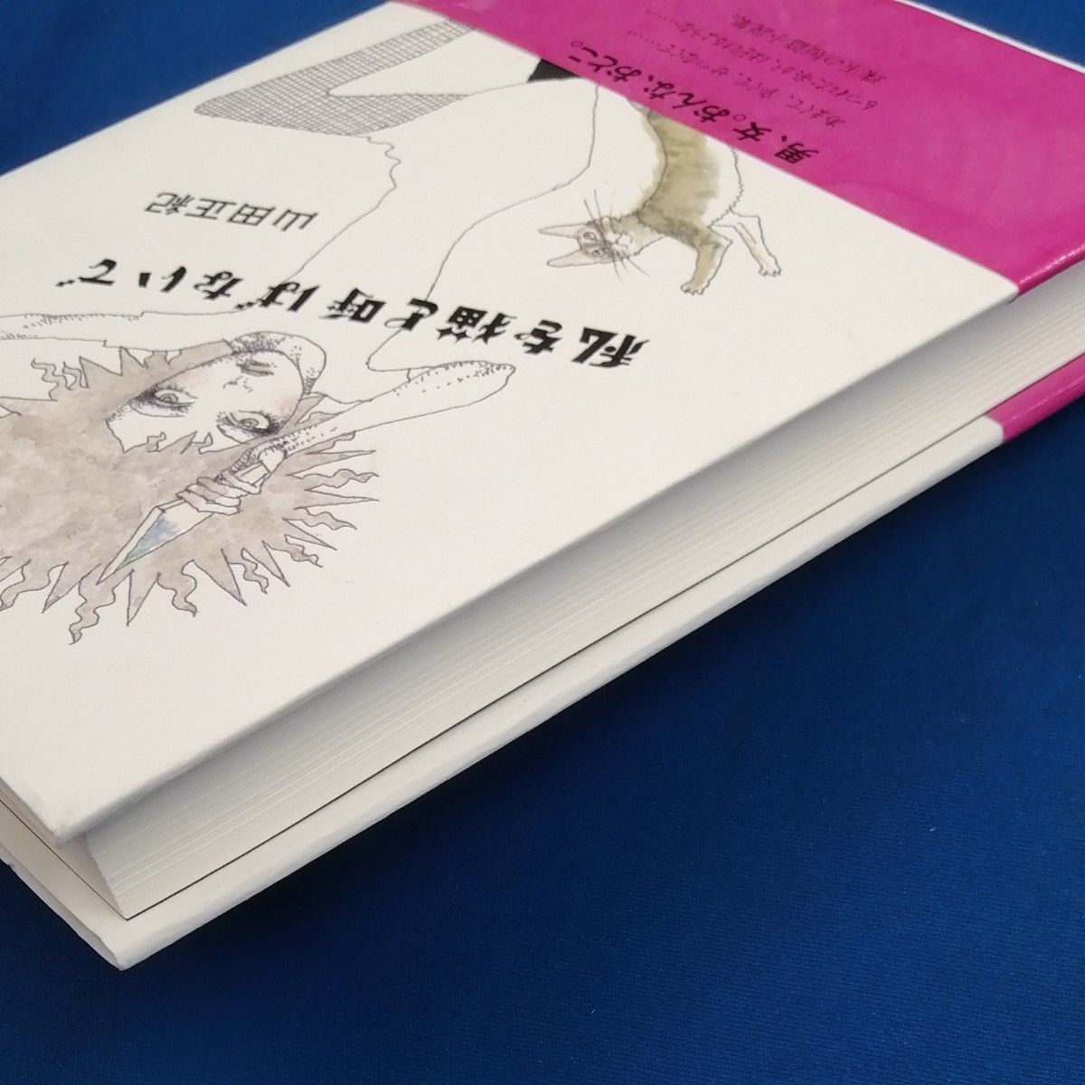 E8★　私を猫と呼ばないで　 山田正紀／著　初版　帯付