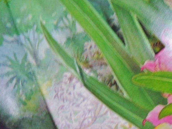 送料込 洋書 仕掛け絵本 隠し絵 ネイチャー ハイドアンドシーク ジャングル NATURE HIDE&SEEK: Jungles/動物 絵本 昆虫 爬虫類 ソンリーサ_画像9