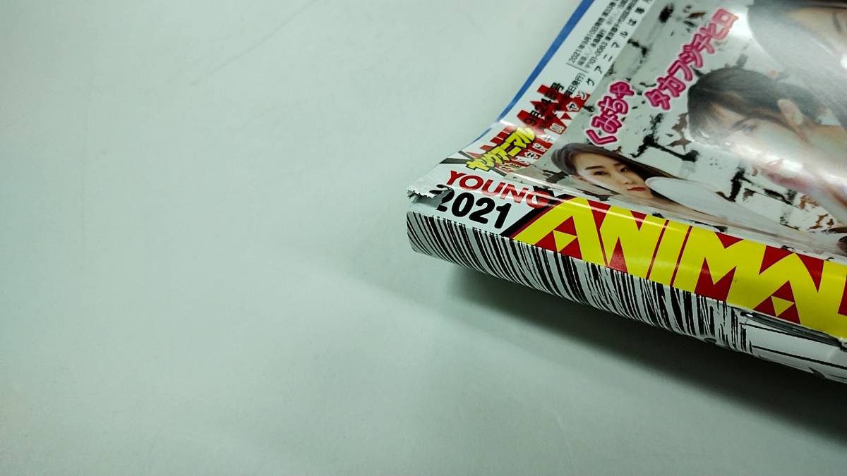 ●未読 2冊セット 送料無料●ヤングアニマル 2021年 9月24日 18号 ベルセルク メモリアル号 2022年 13号 7月8日　BERSERK_画像8