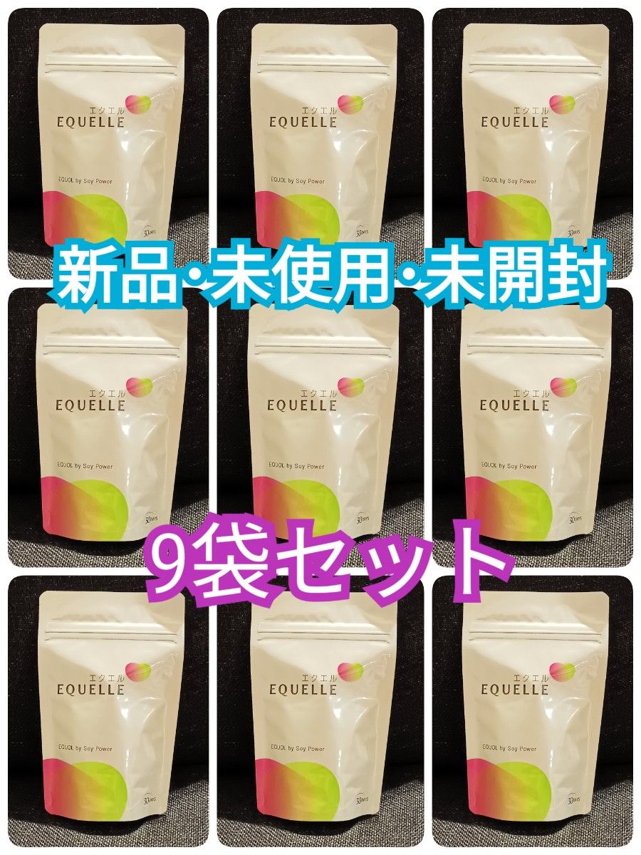 新品・未使用・未開封】大塚製薬 エクエル パウチ120粒入り(約30日分)×9袋セット EQUELLE エクエル パウチ 120粒入り(約30日分)