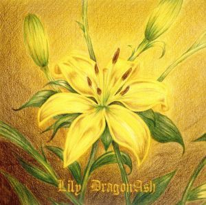 Ｌｉｌｙ（初回限定盤）／Ｄｒａｇｏｎ　Ａｓｈ_画像1