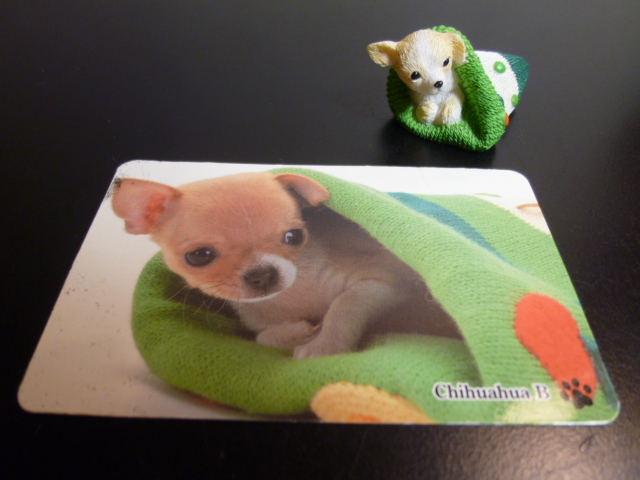 カバヤ kabaya 子犬物語３ミニチュア 犬 チワワ＆メッセージカード 食玩 レア物 美品・展示品の画像7