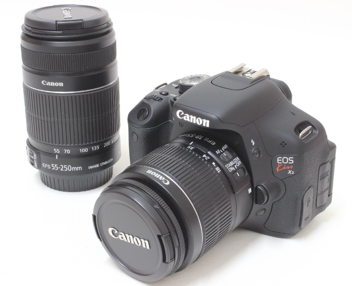 1D130 Canon キヤノン デジタル 一眼レフ カメラ EOS Kiss X5 ダブル
