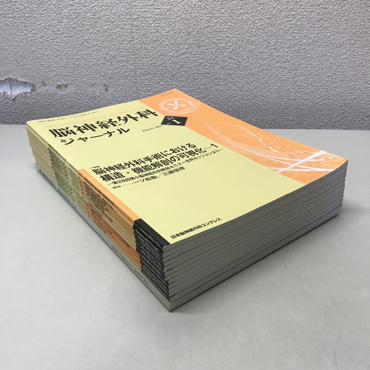 F11◆脳神経外科ジャーナル vol.24 13冊セット 2015年 脳神経外科コングレス 医学雑誌 医療 230501_画像1