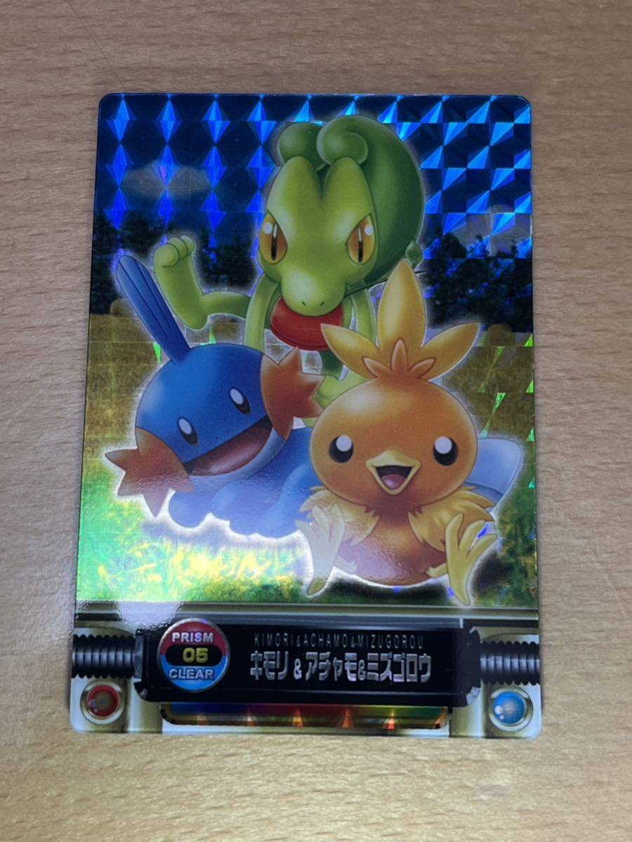 Yahoo!オークション - ポケモン ずかん カード キモリ アチャモ Yahoo!オークション - ポケモン ずかん カード キモリ アチャモ