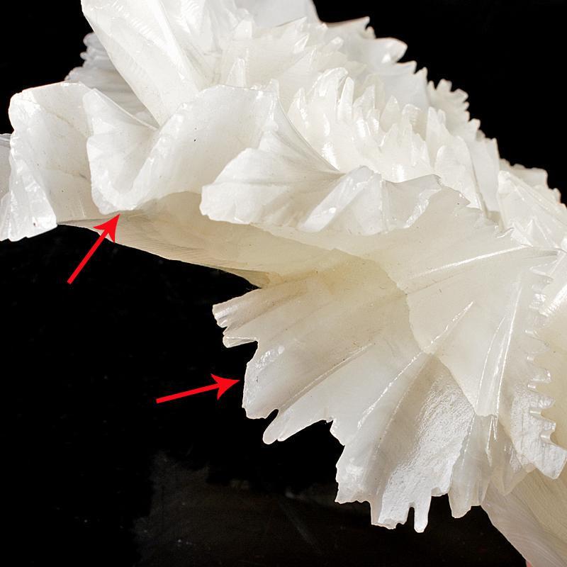 中国 玉石白玉彫刻 白菜 置物 V R5727 | normanhubbard.com