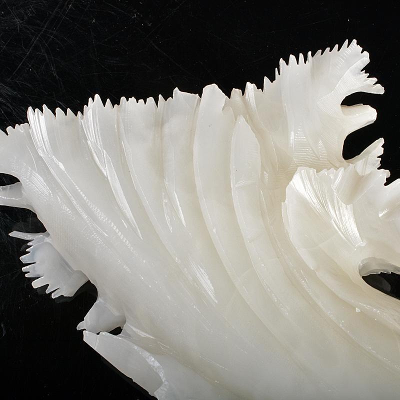 中国 玉石白玉彫刻 白菜 置物 V R5727 | normanhubbard.com