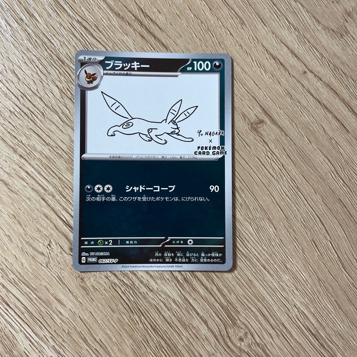 ポケモンカード プロモパック ブラッキー 長場雄 ポケカ|Yahoo ポケモンカード プロモパック ブラッキー 長場雄 ポケカ|Yahoo