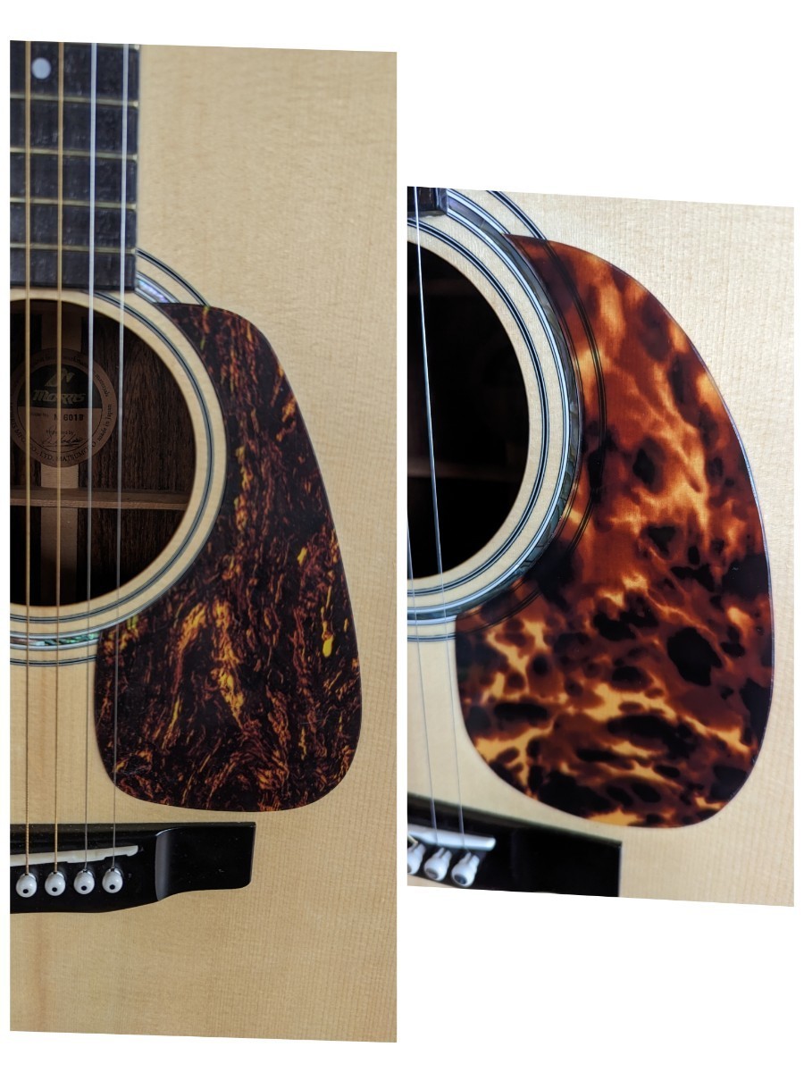 ♪限定品•Morris M-601ハカランダ•トップ単板♪-