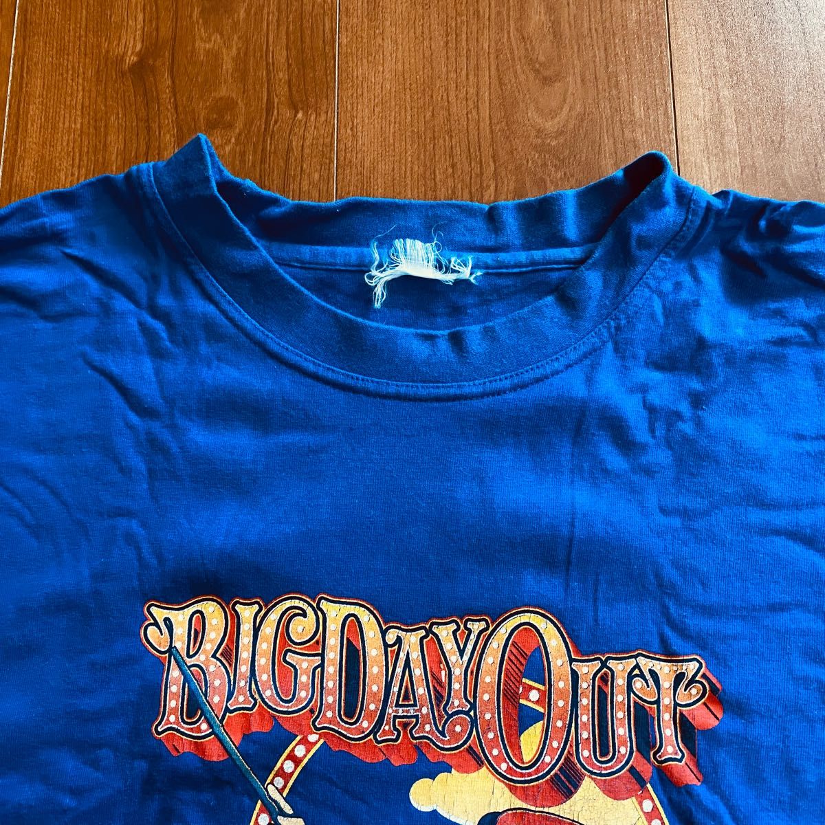 【海外古着】BIG DAY OUT 2003 Tシャツ（ライブ フェス グッズ） 