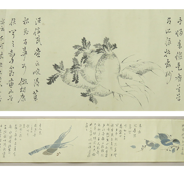 B-3360【模写】田能村竹田 肉筆紙本淡彩 花卉図 巻物/ 南画家 豊後 岡藩 日本画 文人画 書画