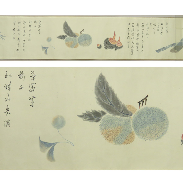 B-3360【模写】田能村竹田 肉筆紙本淡彩 花卉図 巻物/ 南画家 豊後 岡藩 日本画 文人画 書画