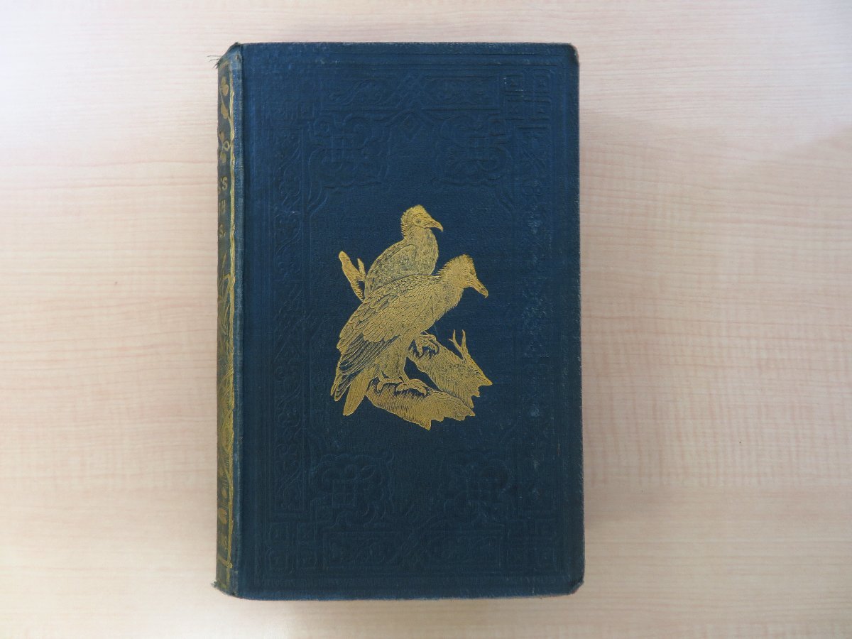 フランシス・オーペン・モリス Morris『A history of British birds』(全6冊揃)1868年ロンドン刊 手彩色画358枚 鳥類画譜 鳥類図鑑_画像2