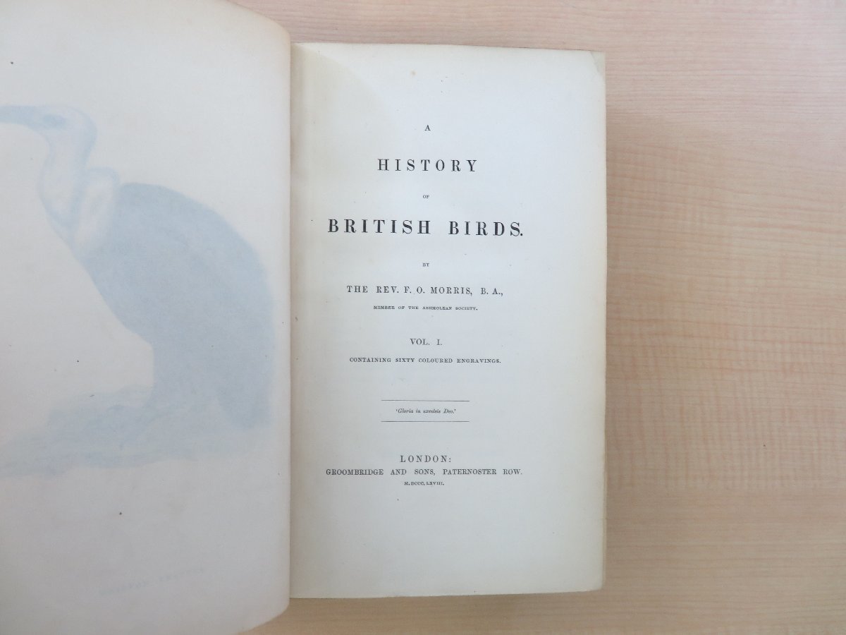 フランシス・オーペン・モリス Morris『A history of British birds』(全6冊揃)1868年ロンドン刊 手彩色画358枚 鳥類画譜 鳥類図鑑_画像3