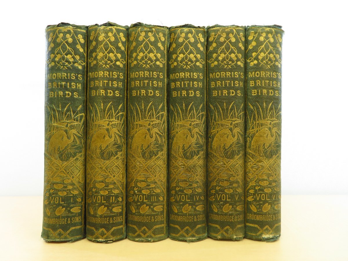 フランシス・オーペン・モリス Morris『A history of British フランシス・オーペン・モリス Morris『A history of British