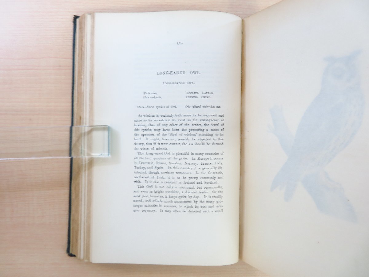 フランシス・オーペン・モリス Morris『A history of British birds』(全6冊揃)1868年ロンドン刊 手彩色画358枚 鳥類画譜 鳥類図鑑_画像9