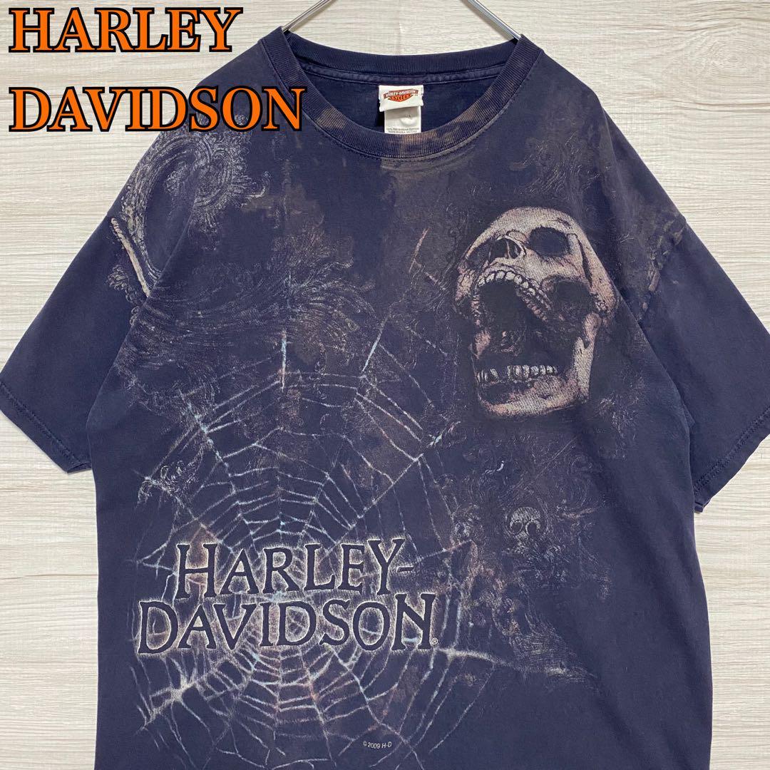 輝い 【希少デザイン】HARLEY-DAVIDSON ハーレーダビッドソン Tシャツ