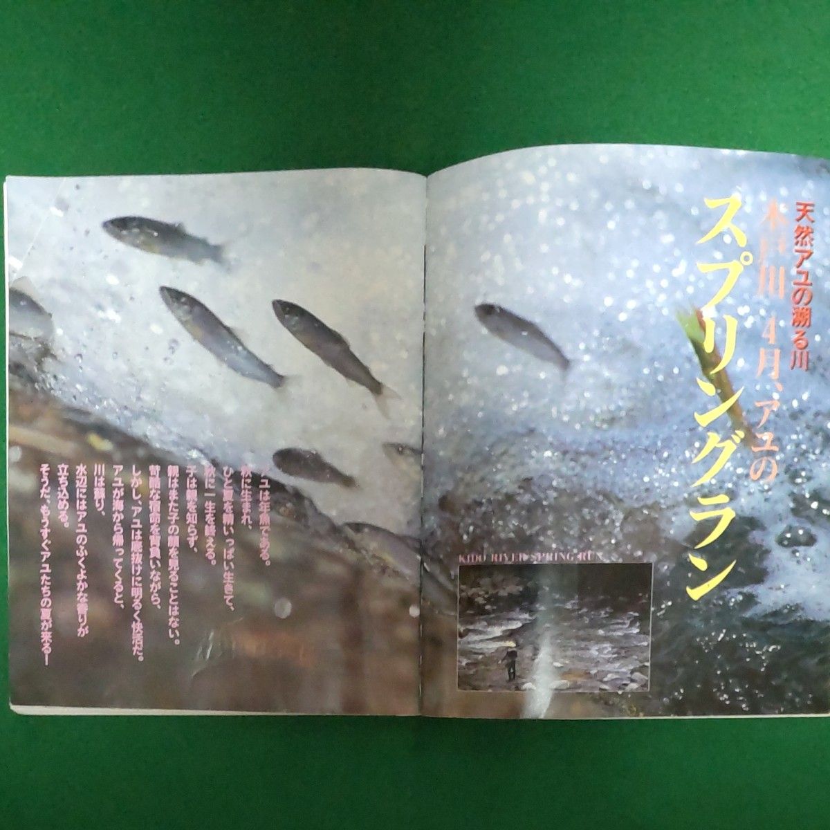  ★最先端のアユの友釣り  vol.3   横塚鴻一  BIG1シリーズ  25