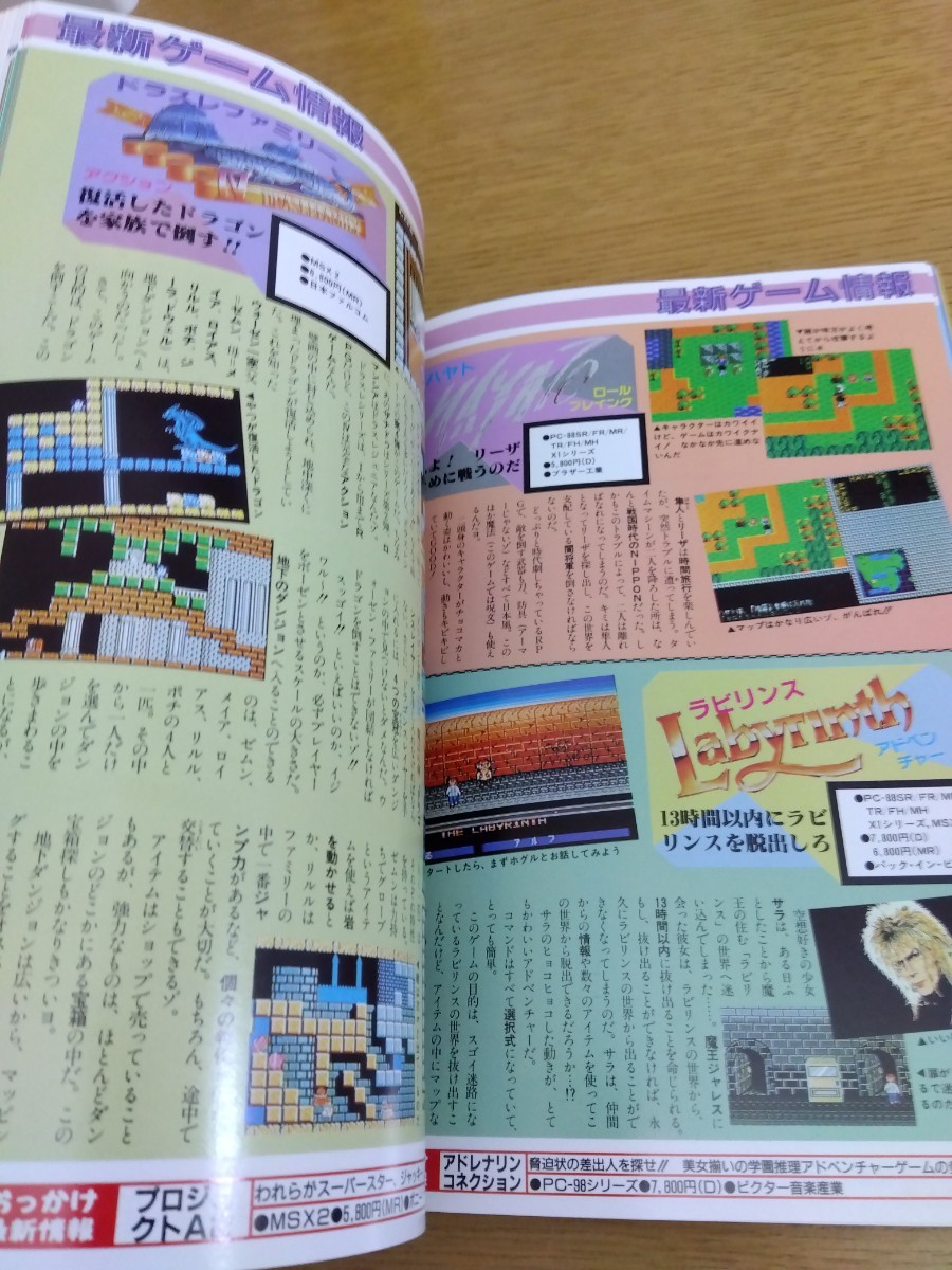 1987 パソコンゲーム大全集 パート3 アソコンでらっくす3 辰巳出版 パソコンゲーム雑誌 パソコンソフト レトロゲーム ウィザードリィ_画像6