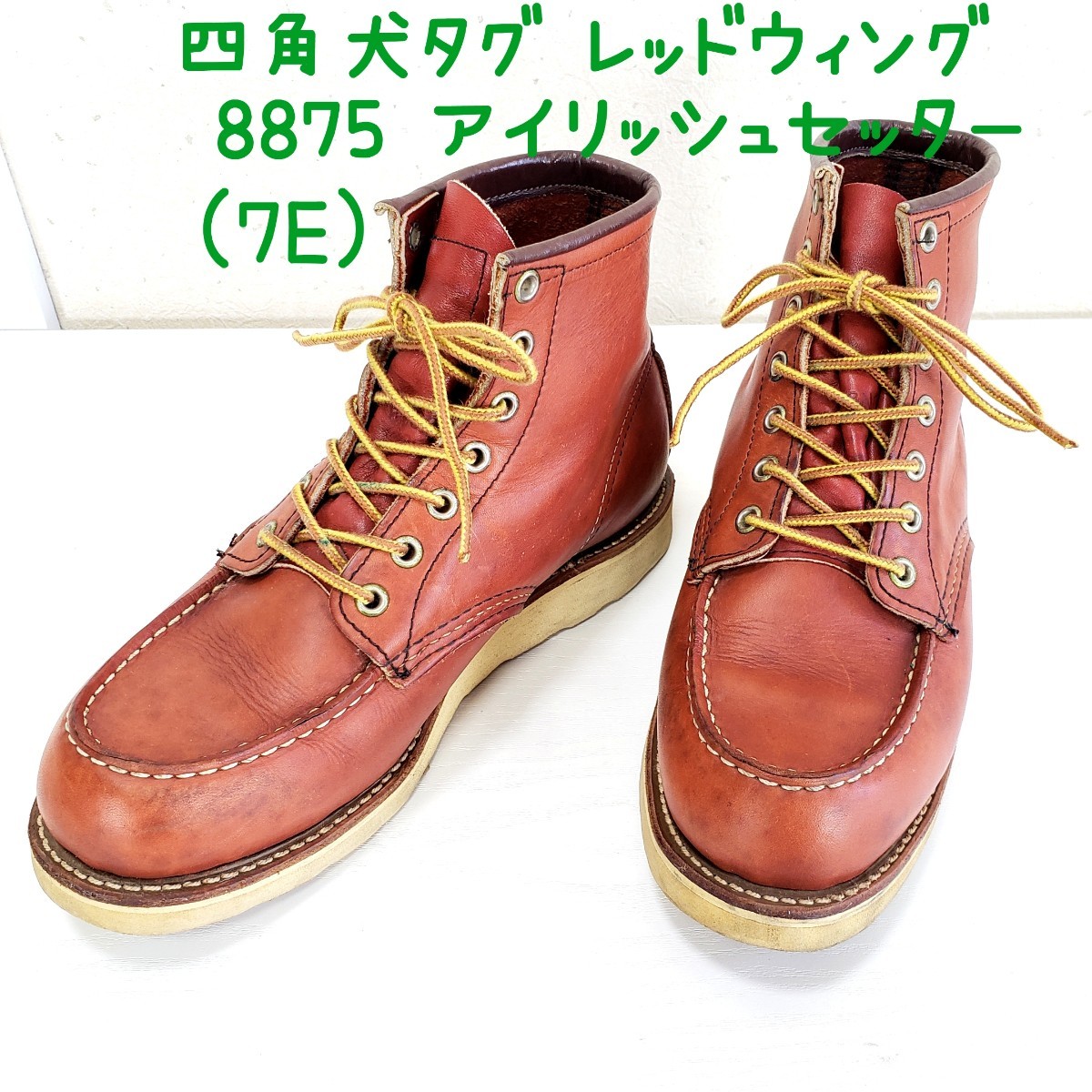 REDWING 8175 犬タグ 7E 25.5cm-