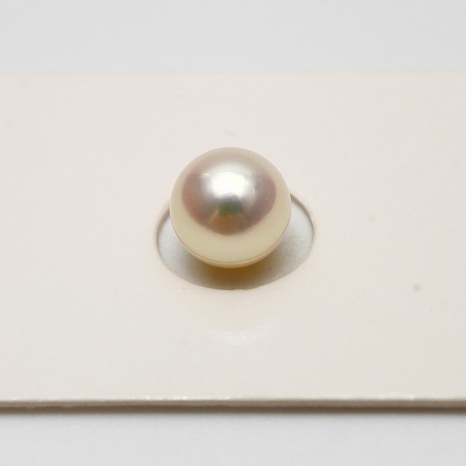 国内発送 アコヤ真珠パールルース 7.5-8.0mm ホワイトピンクカラー