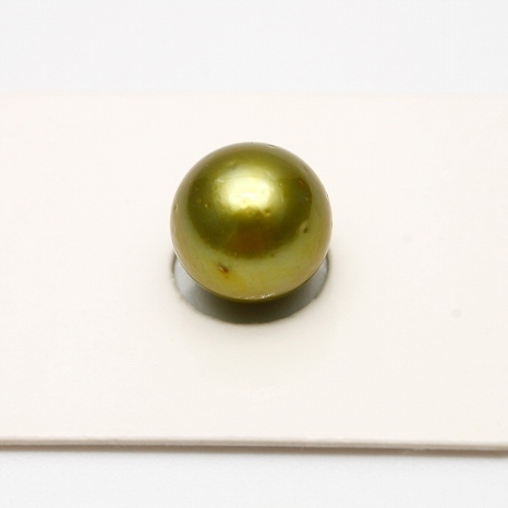【予約中！】 タヒチ黒蝶真珠パールルース　10mm　ピスタチオカラー 真珠