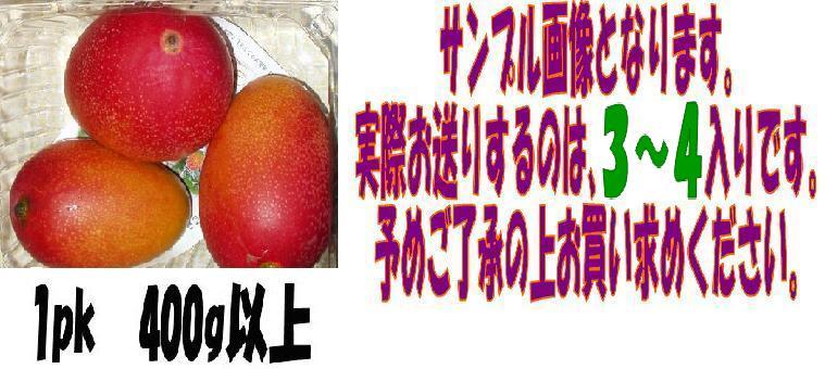 京の果実屋】限定数量②小さな太陽のタマゴ◇宮崎◇ミニマンゴーS*3玉