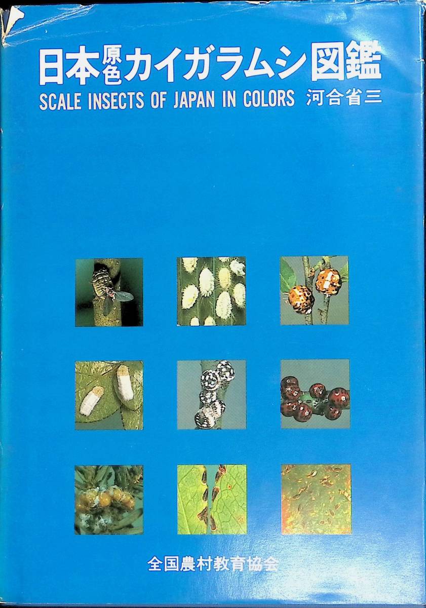 ☆送料0円☆ 日本原色カイガラムシ図鑑 河合省三 全国農村教育協会 ☆送料0円☆ 日本原色カイガラムシ図鑑 河合省三 全国農村教育協会