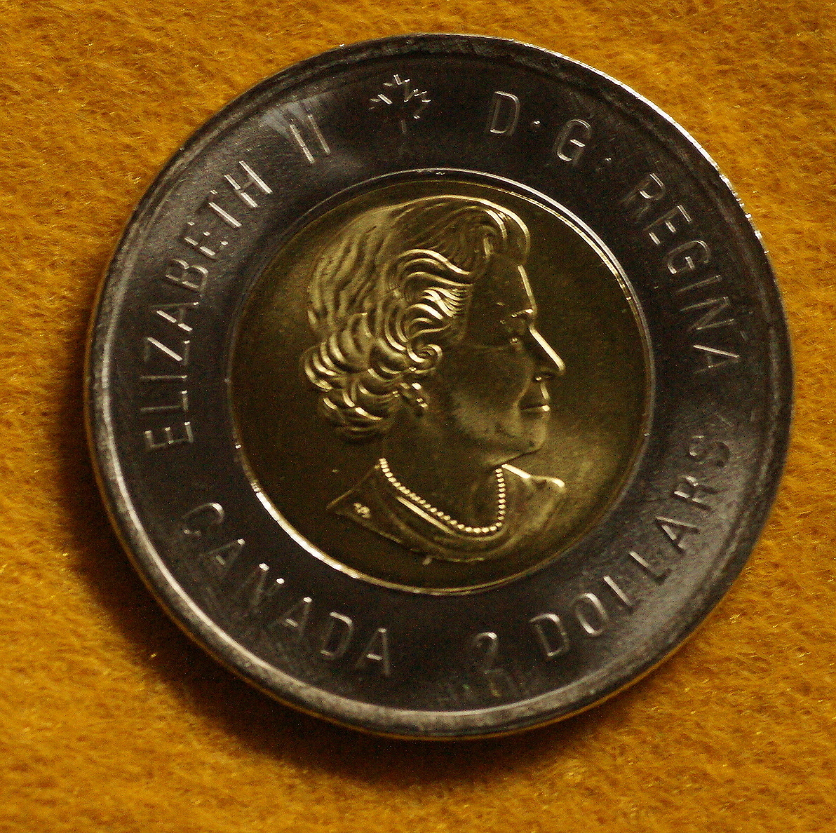 ★無塗装版1種1枚★カナダ先住民芸術家★ビル・リード生誕100周年記念2ドル硬貨コイン2020年 _画像3