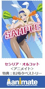 IS インフィニット・ストラトス 2 ラブ アンド パージ アニメイト 購入 特典 描き下ろし B2 布タペストリー セシリア・オルコット