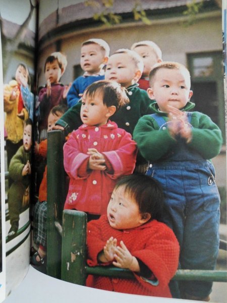 新しい中国 1972年 菅沼不二男 保育社カラーブックス 新中国（1970年頃）の写真多数 vbccの画像8