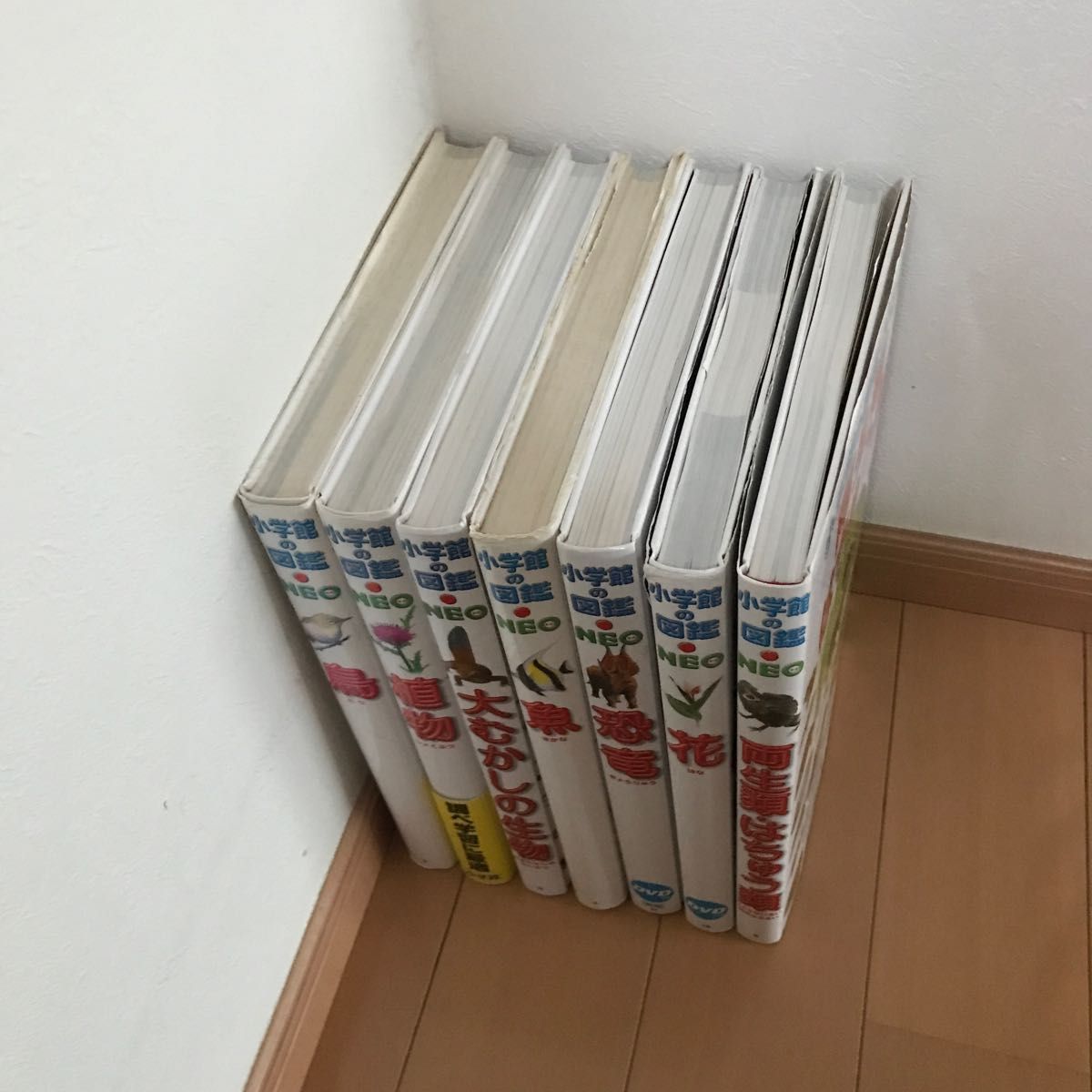 図鑑 7冊 DVD CD有 小学館の図鑑NEO NEO 図鑑 小学館 ずかん 図鑑 7冊 DVD CD有 小学館の図鑑NEO NEO 図鑑 小学館 ずかん