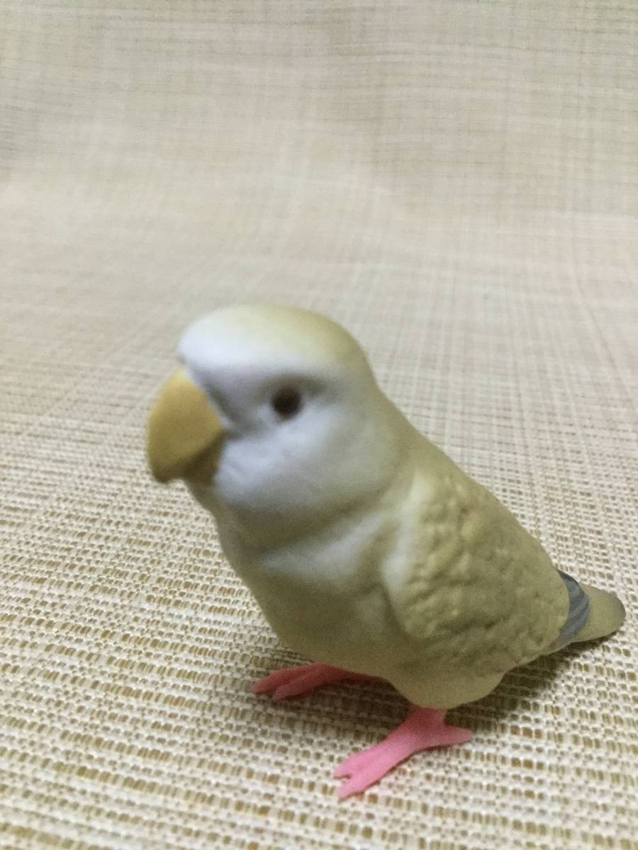 コザクラインコ マスコット 薄茶 手のりインコ コレクション ガチャ,ガシャポン,カプセルトイ 鳥,とり フィギュア_画像7