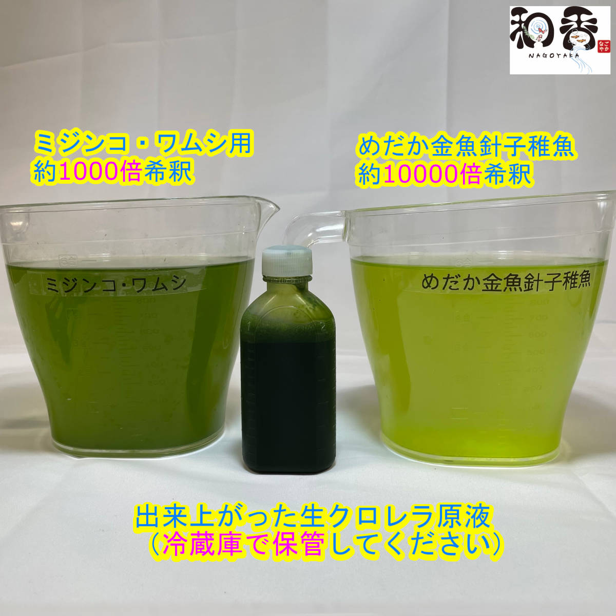 和香特選生クロレラ原液1000ml 関連:めだか金魚稚魚ミジンコPSBK-