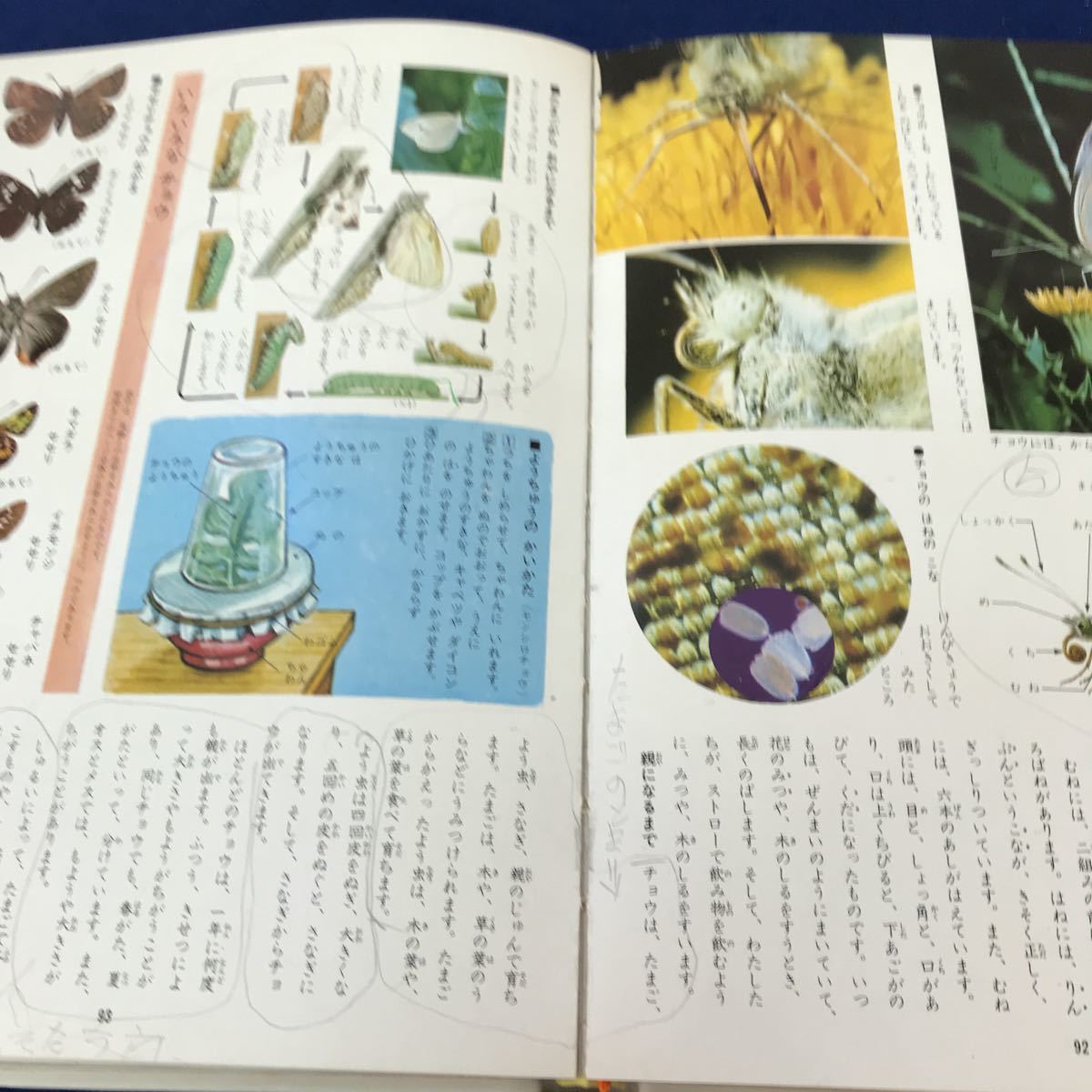 J06-010 学習こども百科6 そめもの-てつどう 学研 外箱に傷みや書き込み、書籍に書き込み、ページ割れあり_画像6