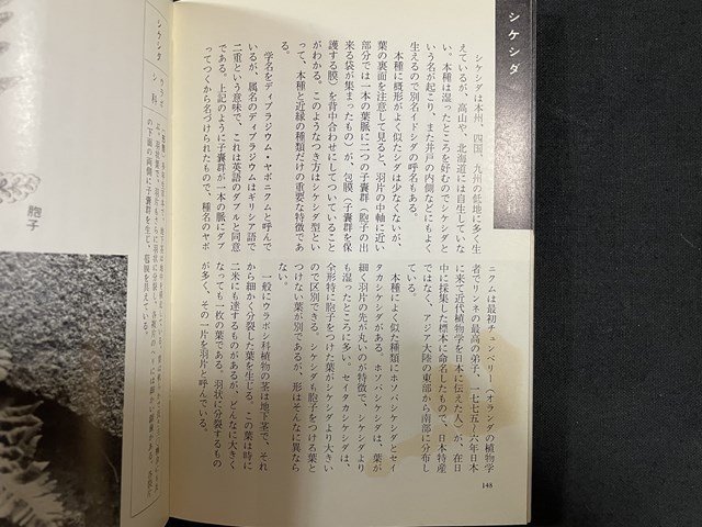 ｊ◇　難あり　教養文庫　路傍の草花　著・松田修　昭和36年初版第1刷　社会思想研究会出版部/B09_画像7