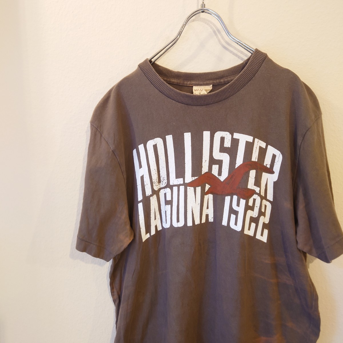 HOLLISTER Tシャツ ブラウン　ホリスター　/Y1728_画像1