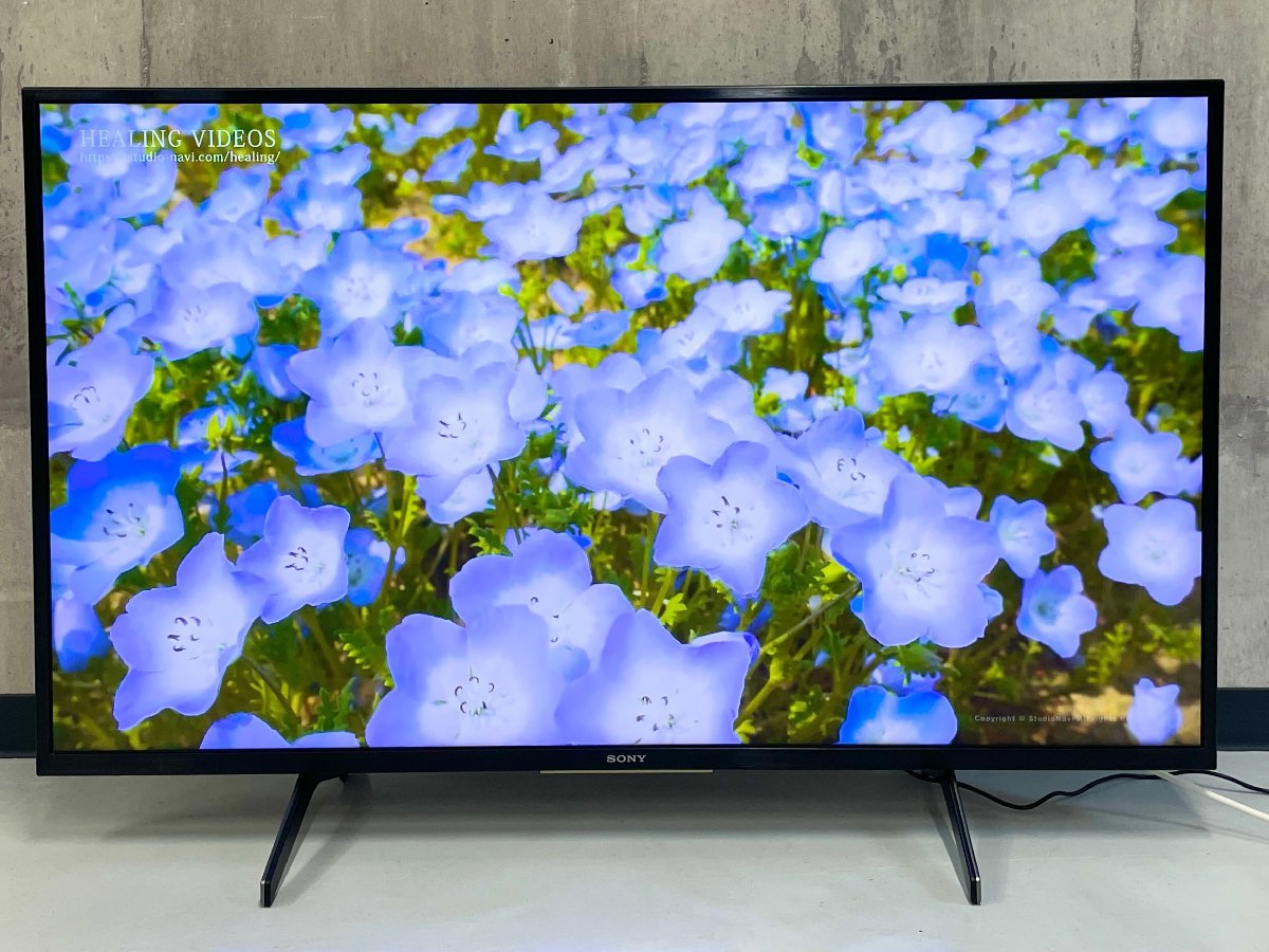 C-05027 SONY ソニー BRAVIA KJ-43X8000H 4K 液晶テレビ KJ-43X8000H