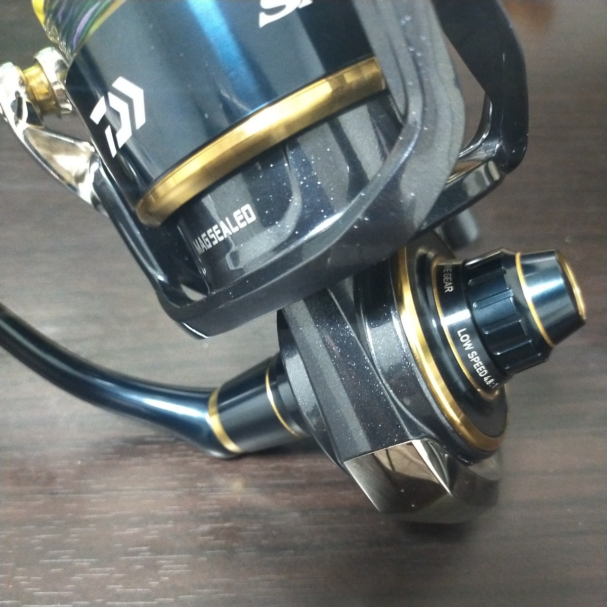 DAIWA ダイワ SALTIGA 20ソルティガ 8000-P ジギングリール スピニング