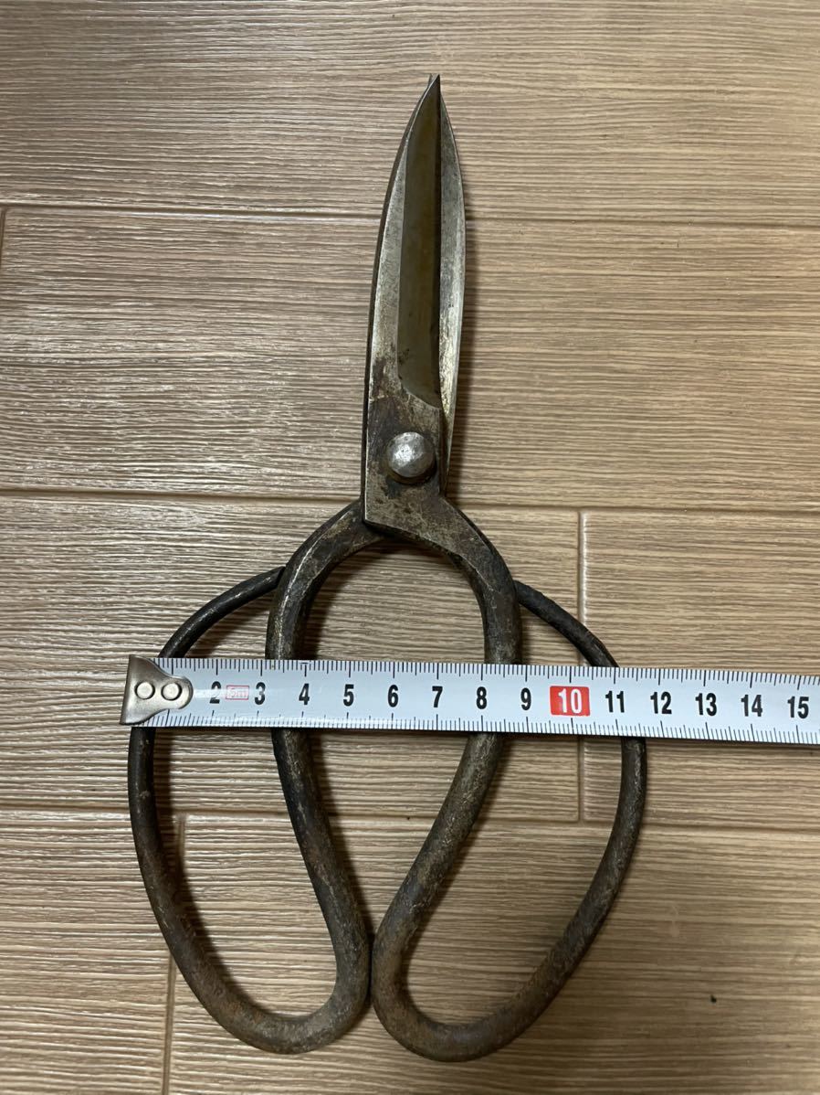 A 五代金光 刃長 剪定鋏 品 | normanhubbard.com