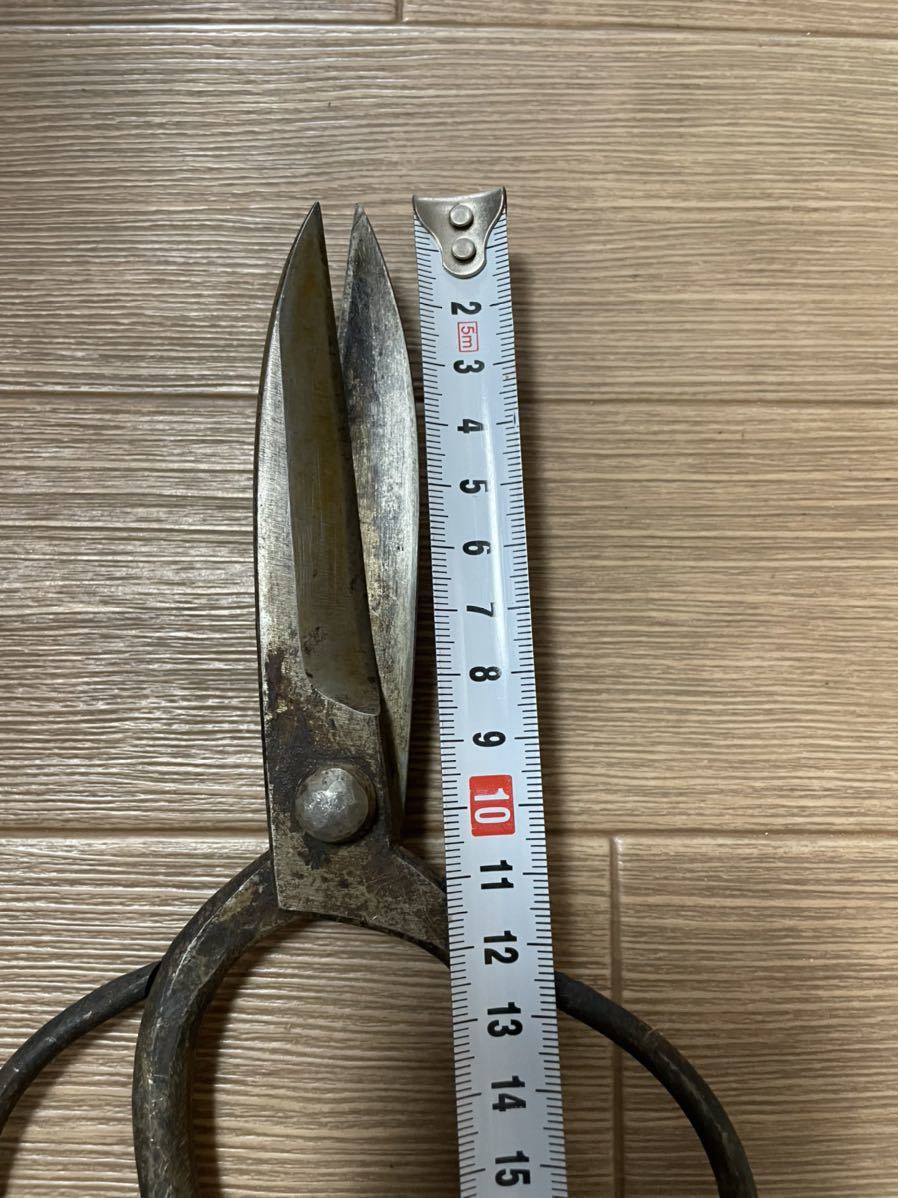 A 五代金光 刃長 剪定鋏 品 | normanhubbard.com