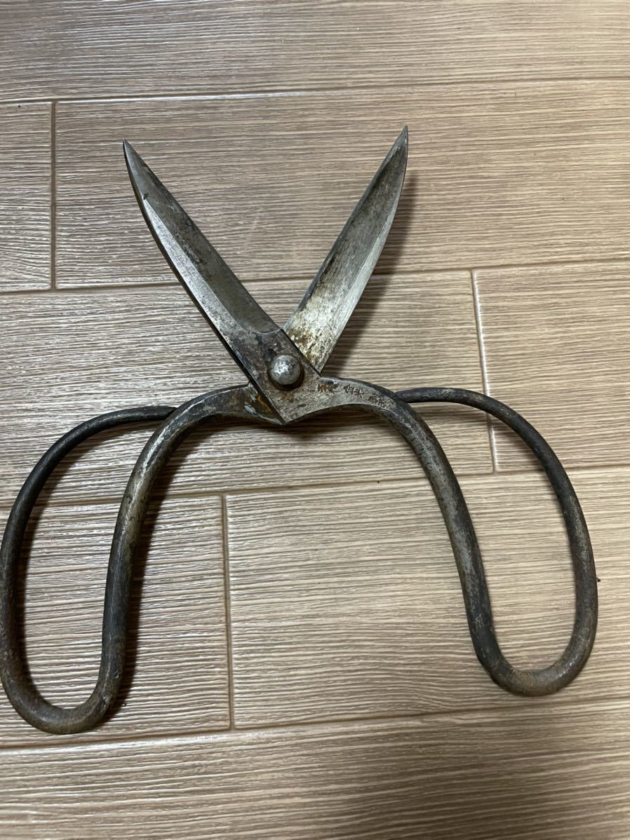 A 五代金光 刃長 剪定鋏 品 | normanhubbard.com