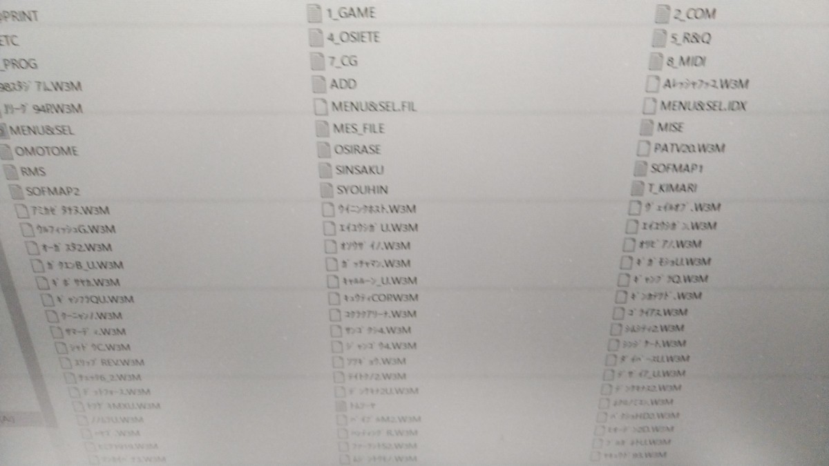 絶版FD】PC-9801 ウィザードV3 Report All Filers ウエストサイド 3.5